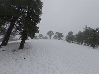 Troodos Toboggan Slope 